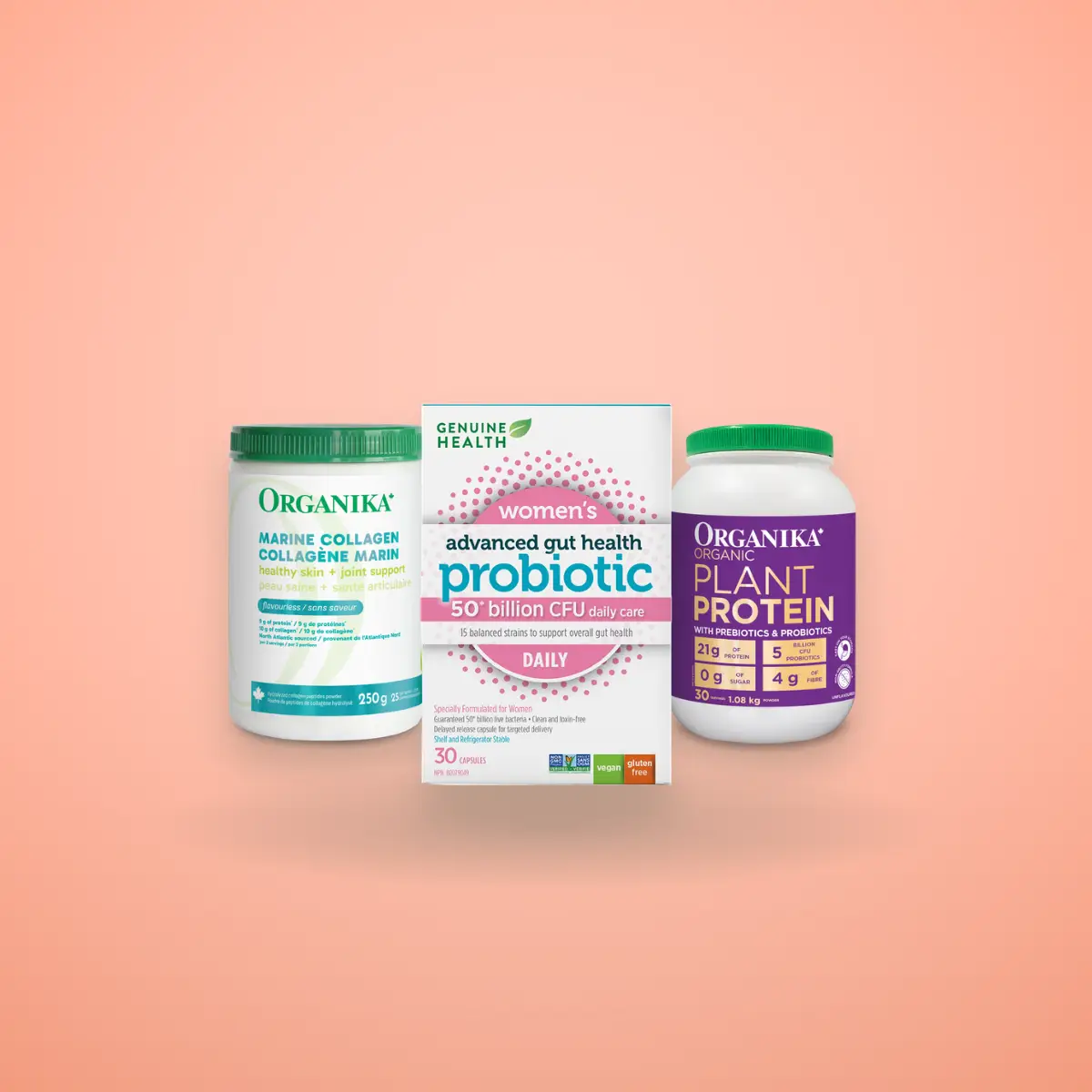 Gut Digestion